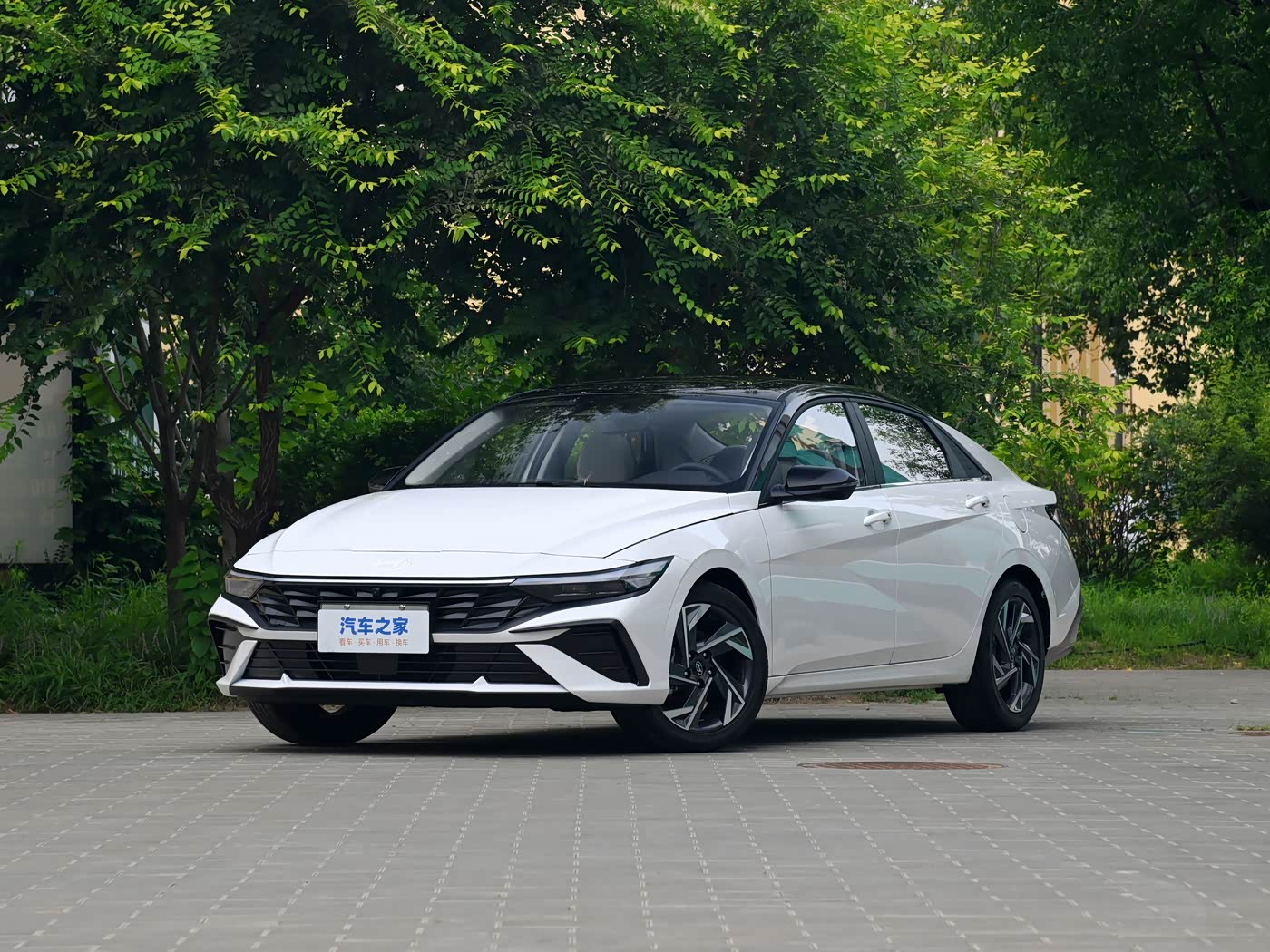  Elantra