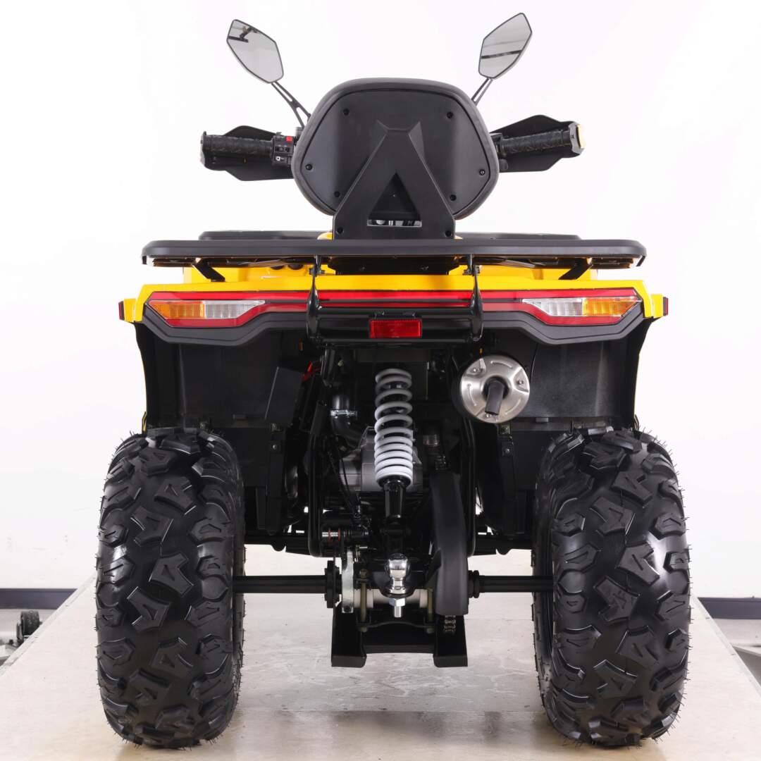  VOX250 WILD TRACK X PLUS