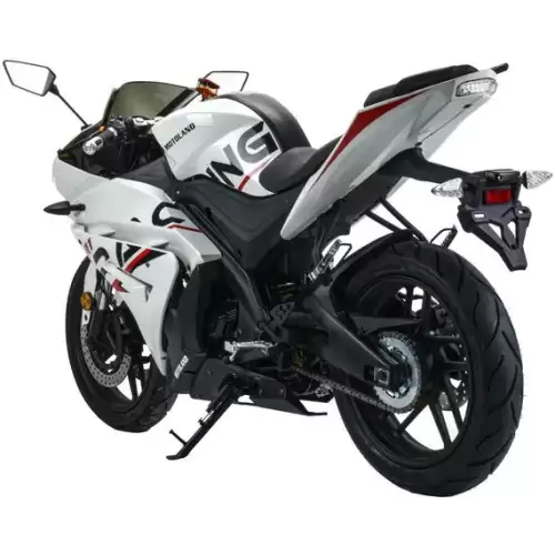  R1 300
