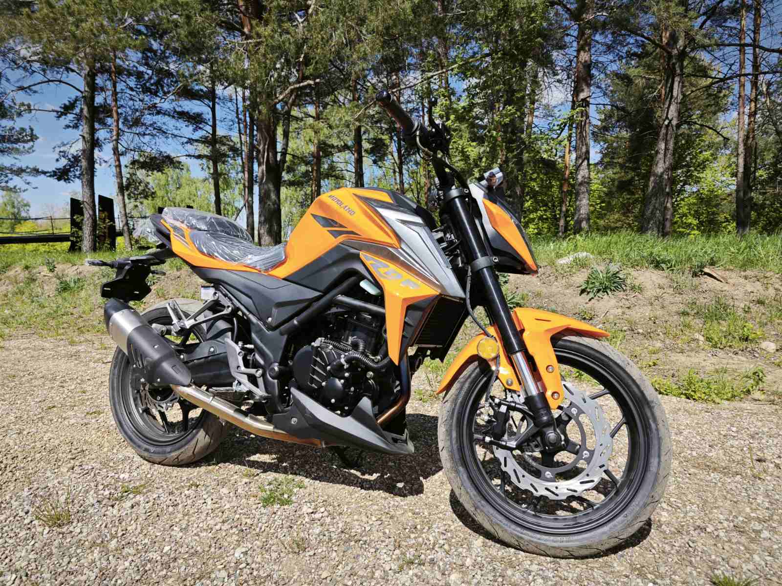  DF BIG BORE 300