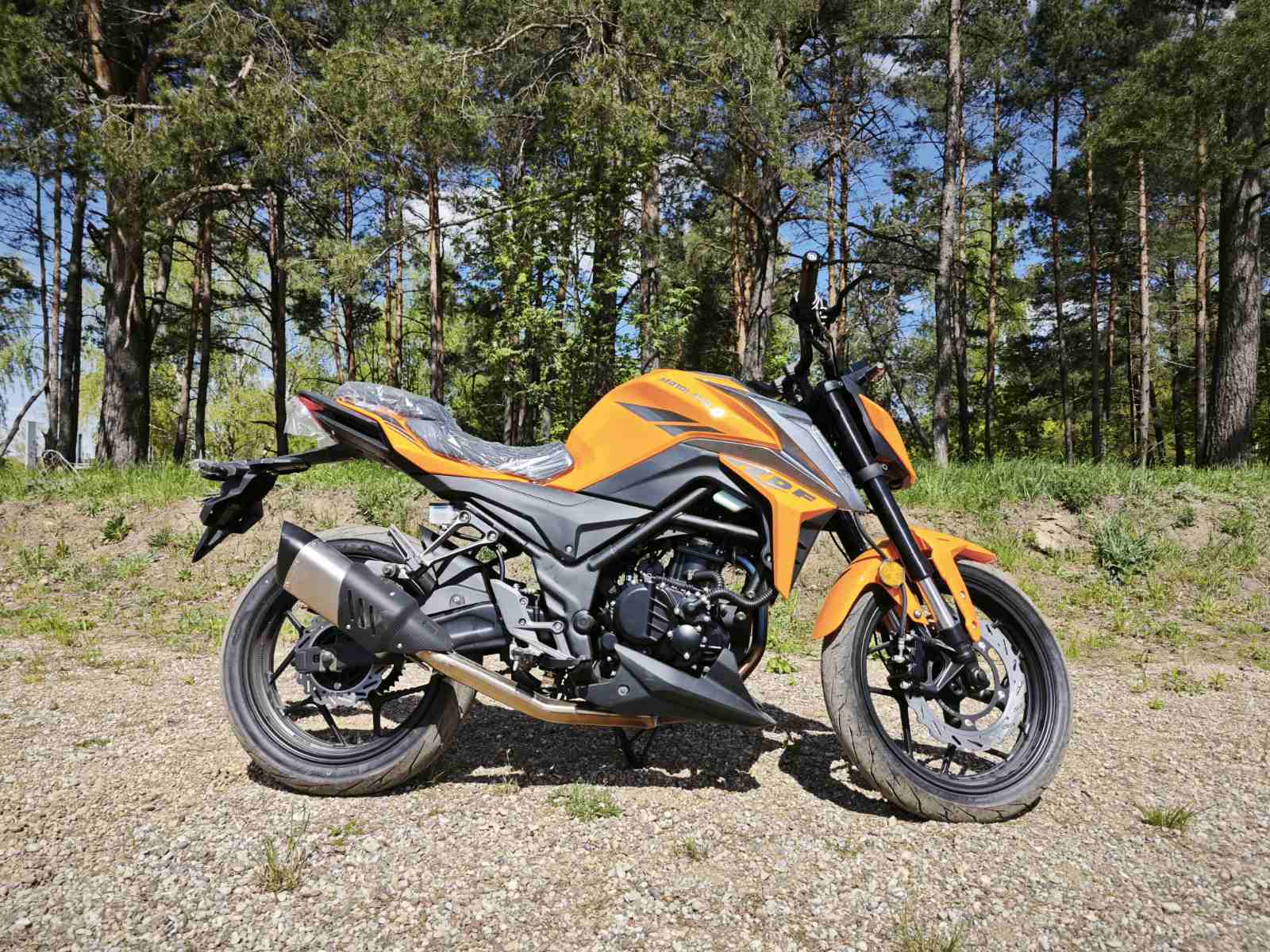  DF BIG BORE 300
