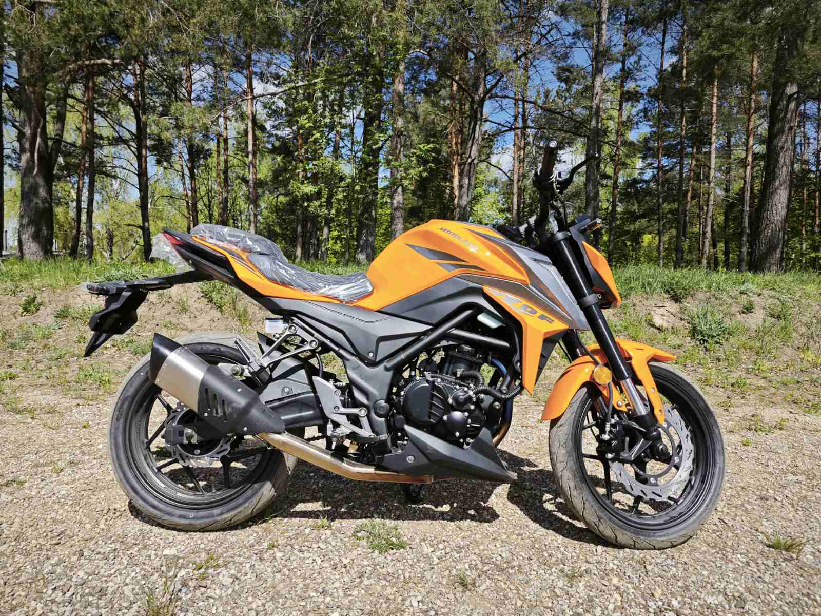  DF BIG BORE 300