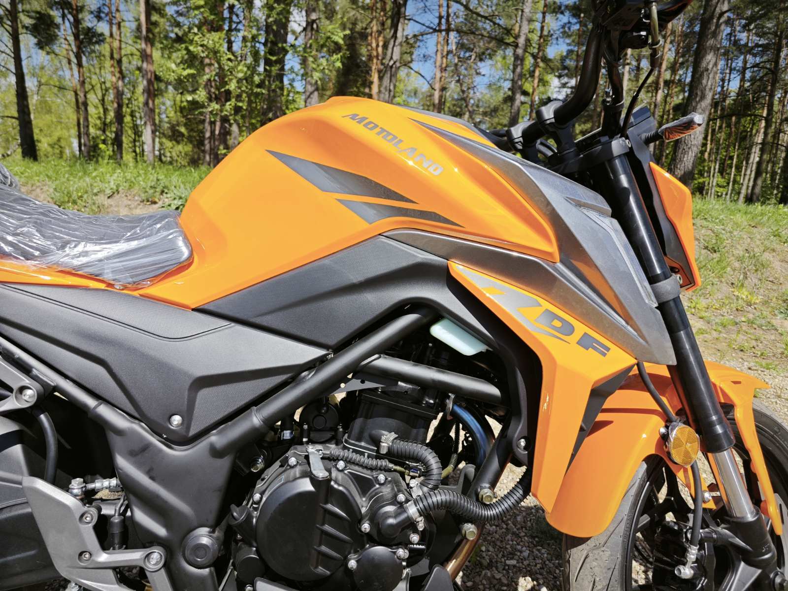  DF BIG BORE 300