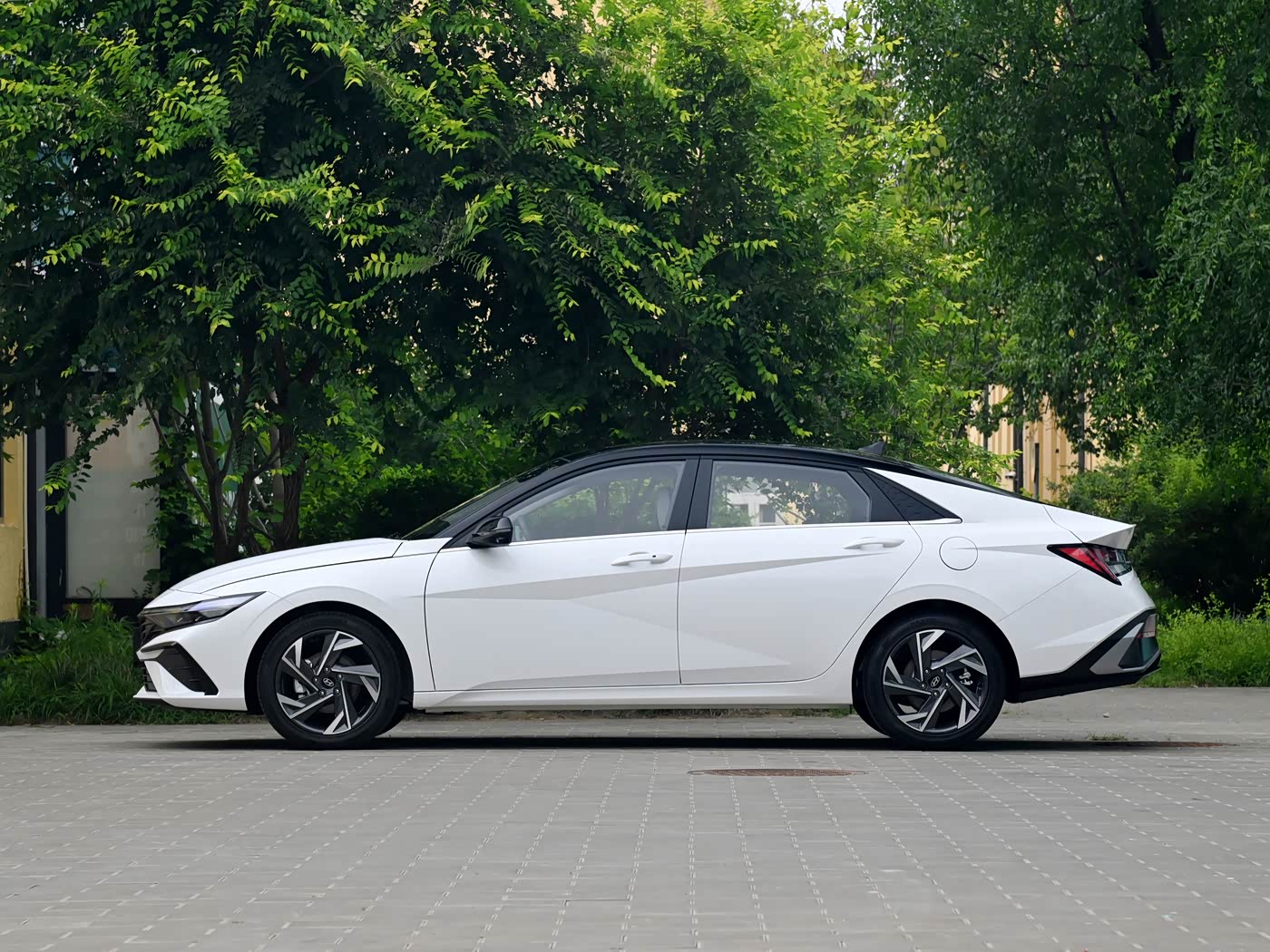 Elantra