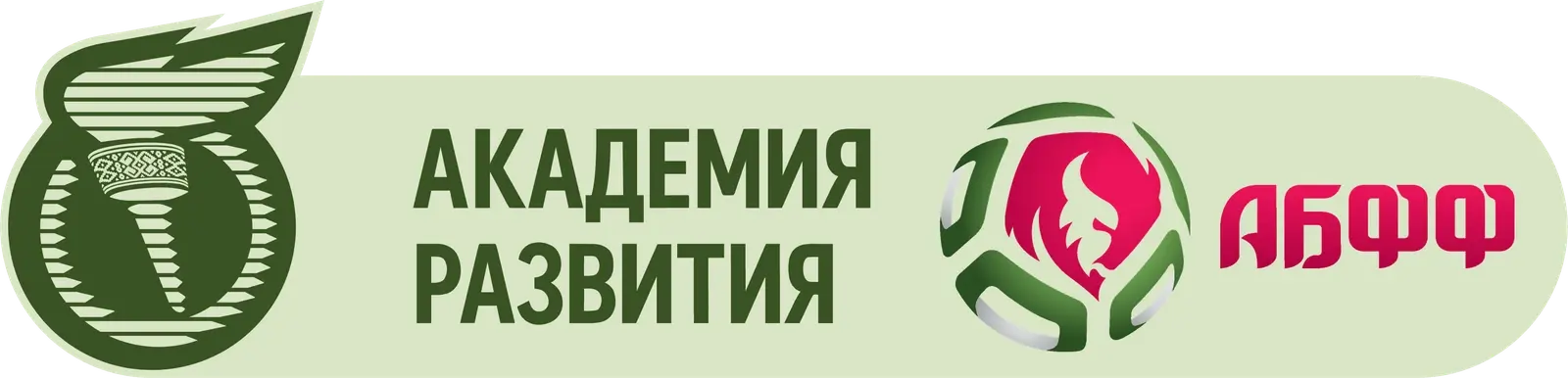 Академия развития АБФФ