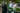 Garden Party: клиентский вечер: фотография мероприятия
