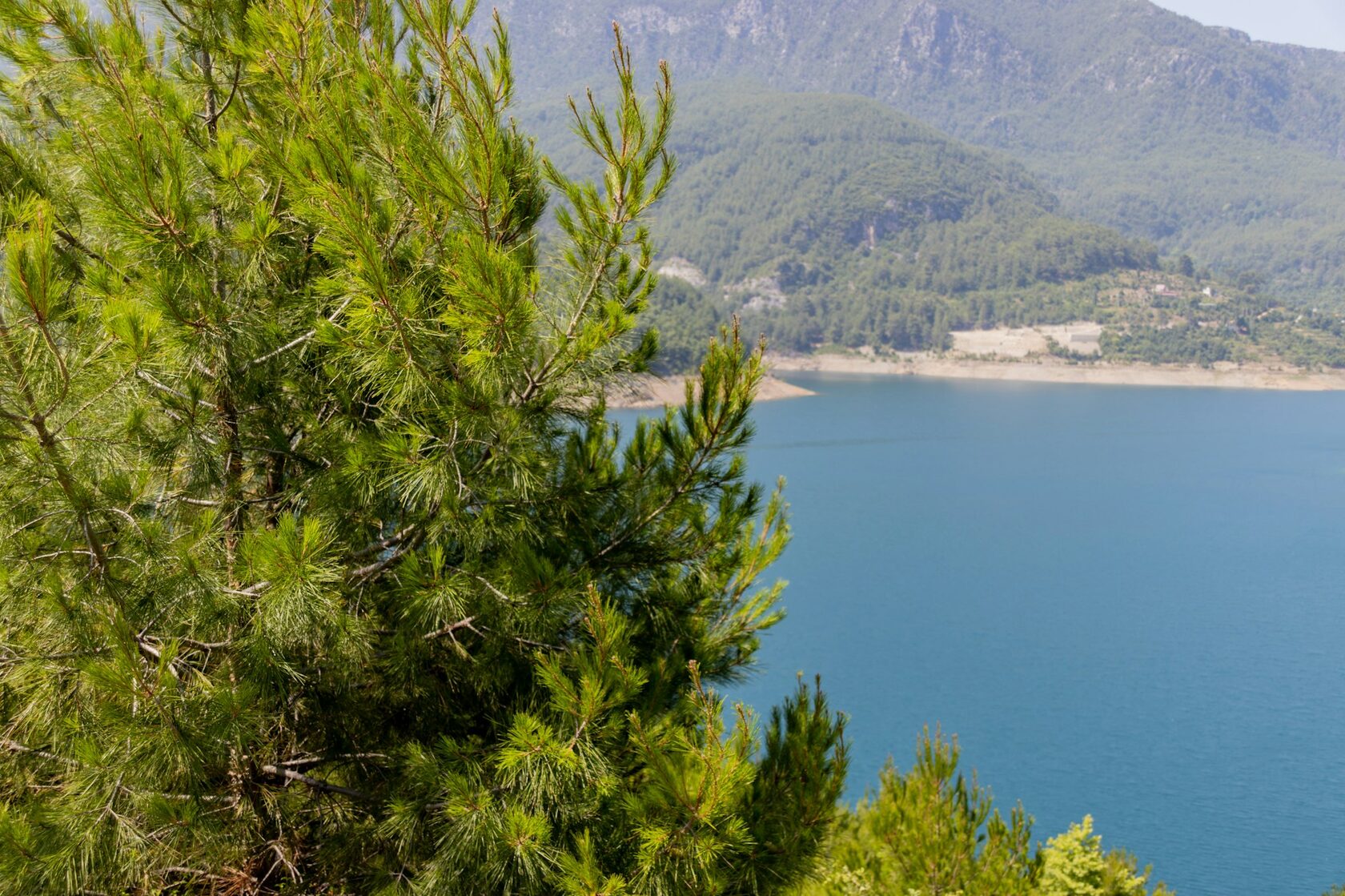 Otium Eco Club Side 5* — эко-отель в Сиде, отели Турции для отдыха с детьми