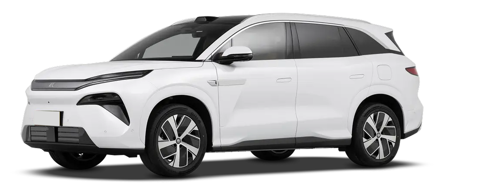 Tang L EV