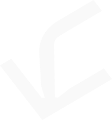Услуги