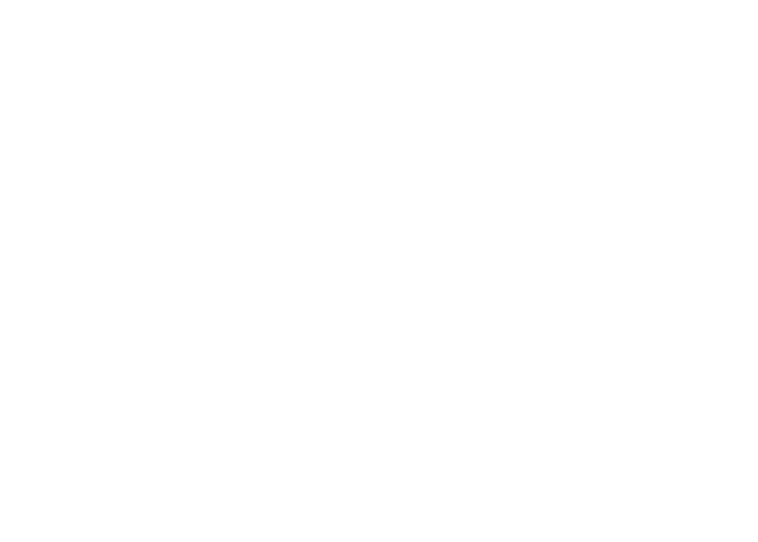  VIZION 