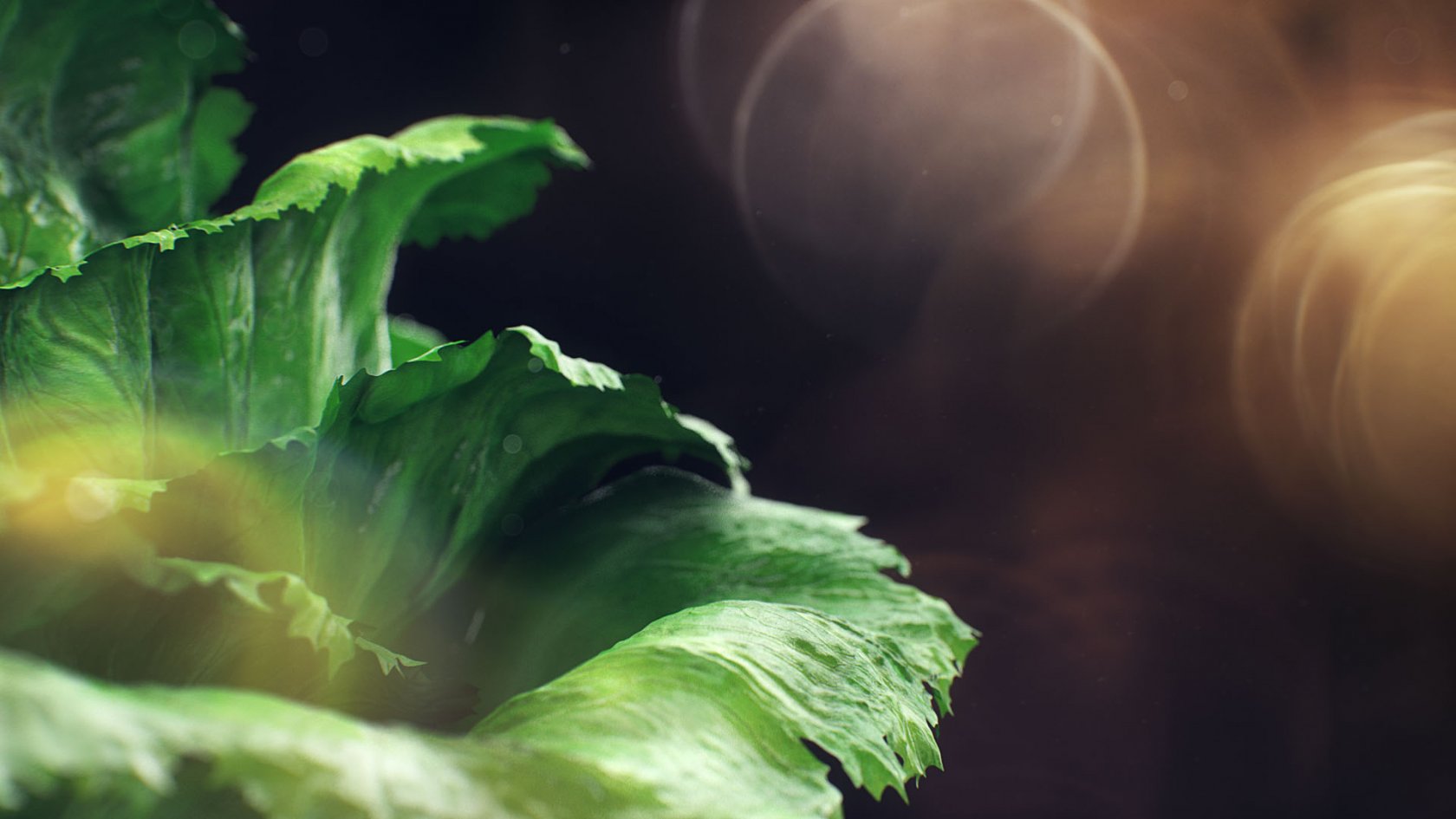 Socar – Doner Kebab — Styleframes 11