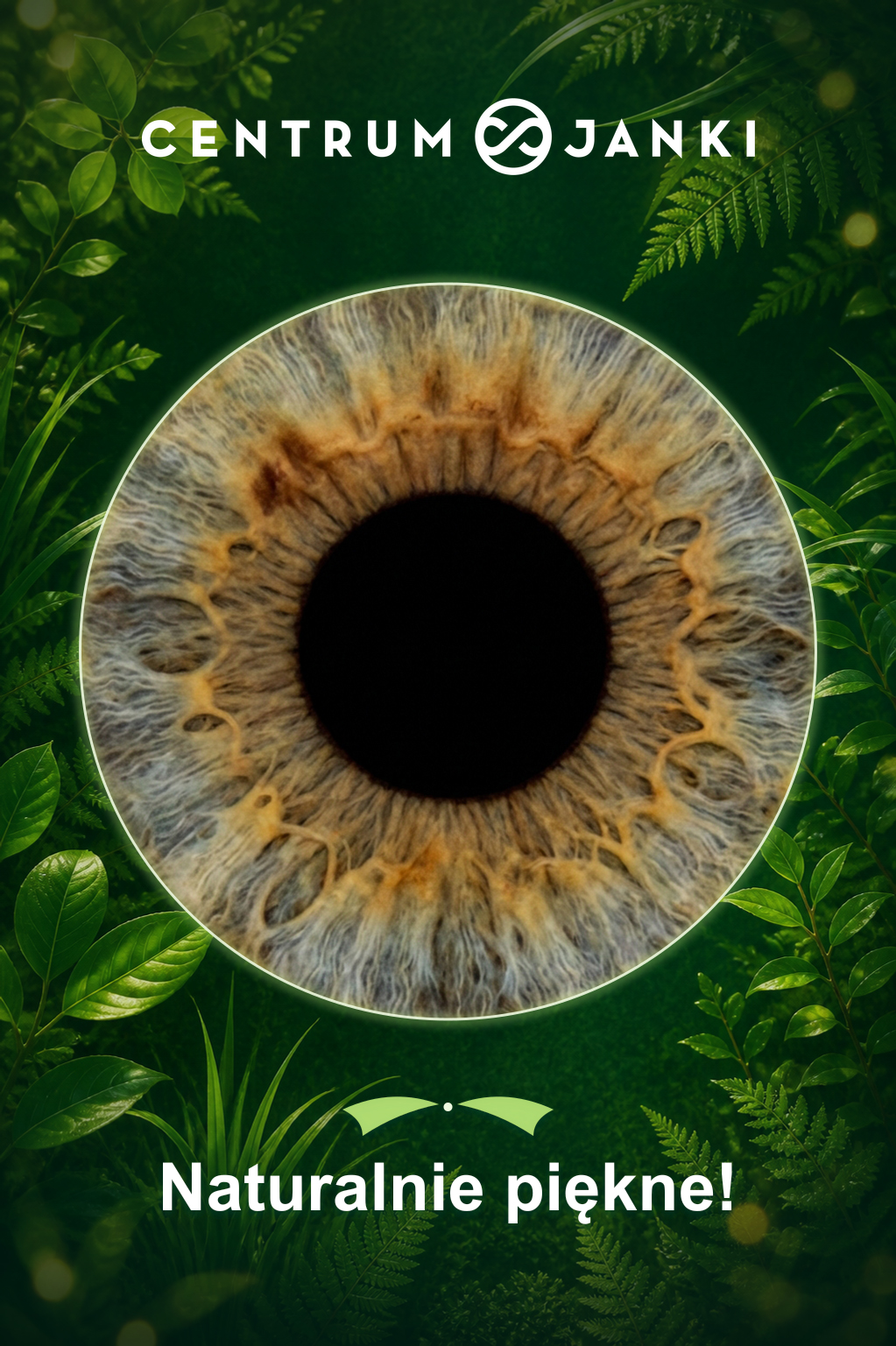 IRIS artwork example 1
