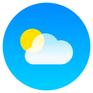 website icon