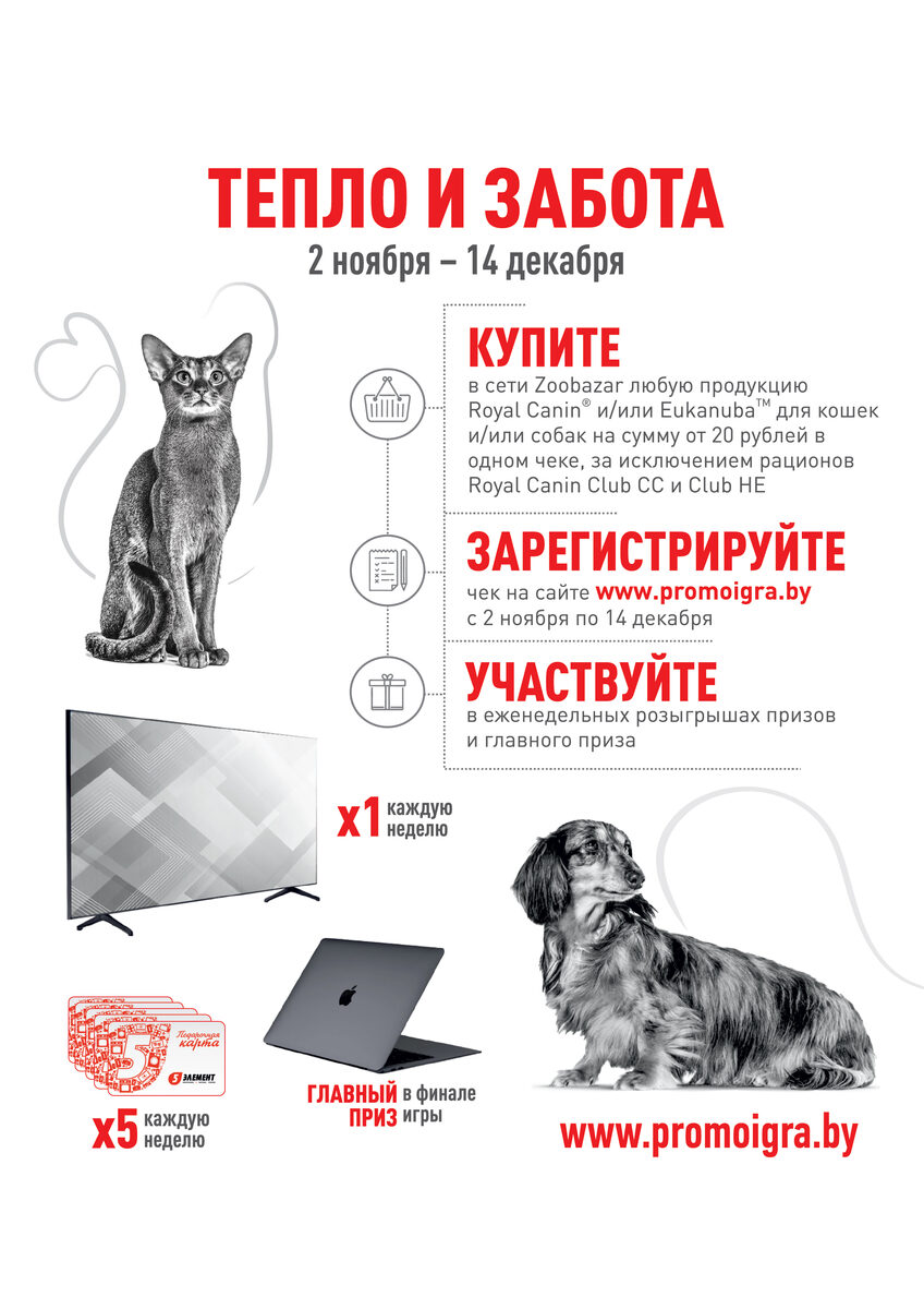 Рекламная игра «Тепло и забота» - Royal Canin