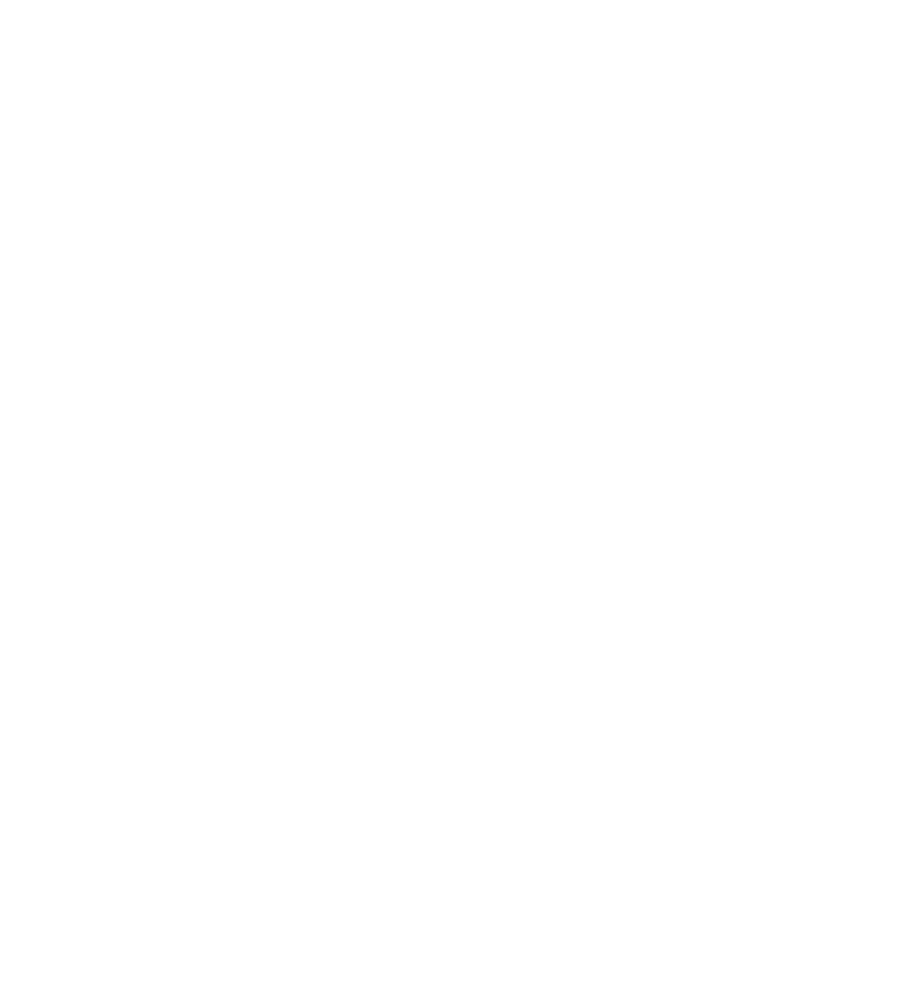 Арена-пицца