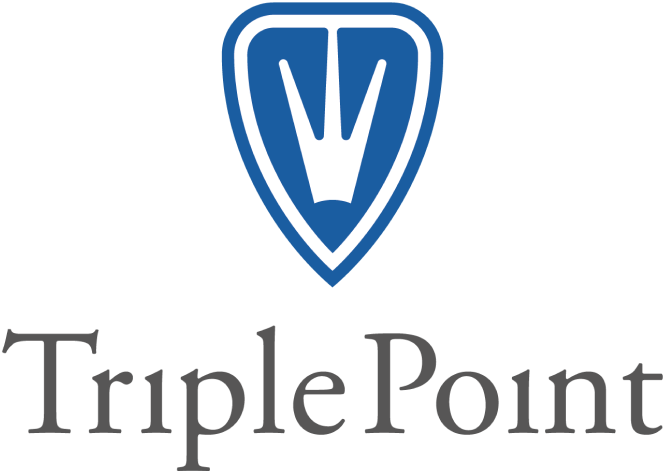 Triplepoint Trhead Salesforce Consulting Company | Salesforce Implementation Partner ...