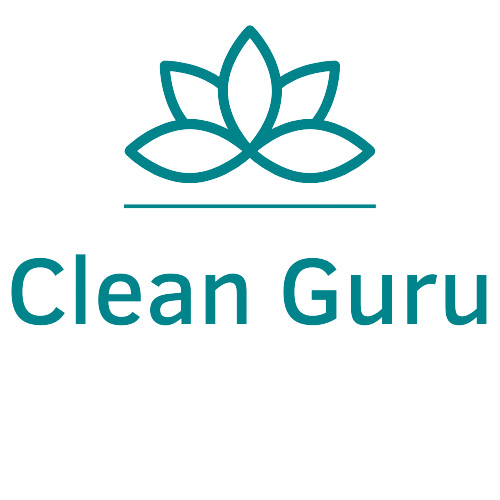  Clean Guru 