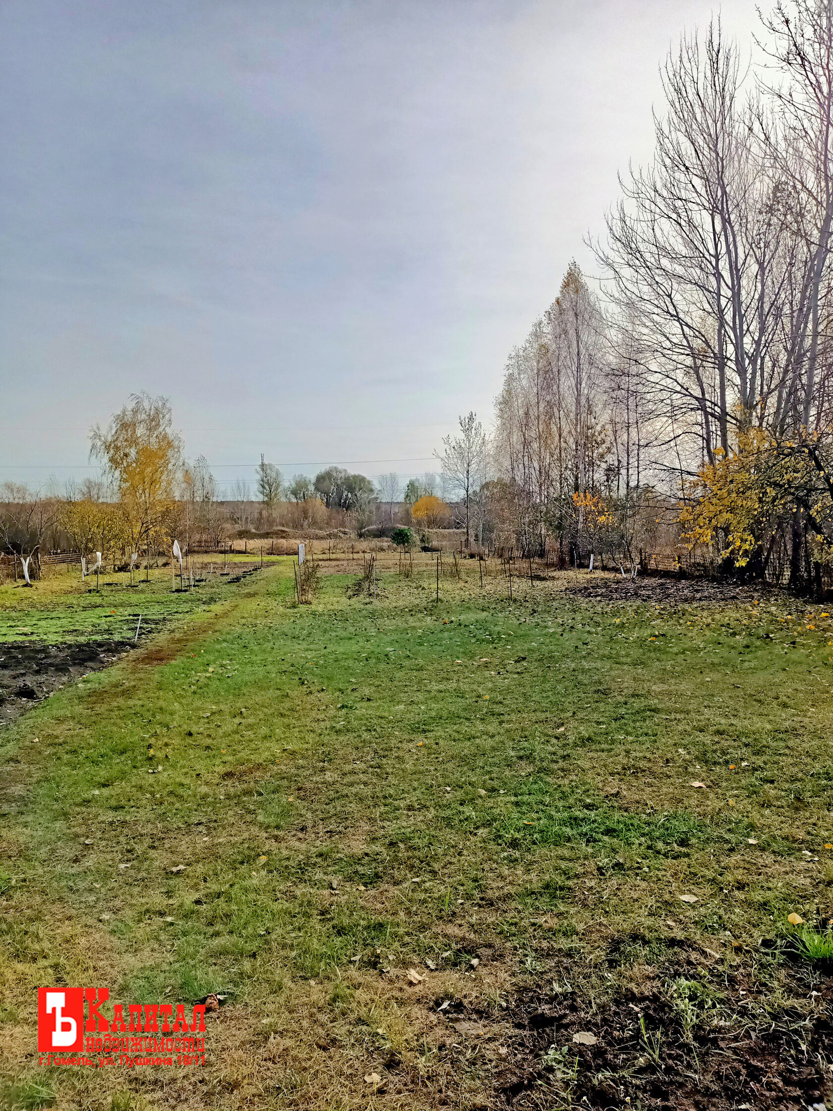 Купить Дачу В Ченках Гомель