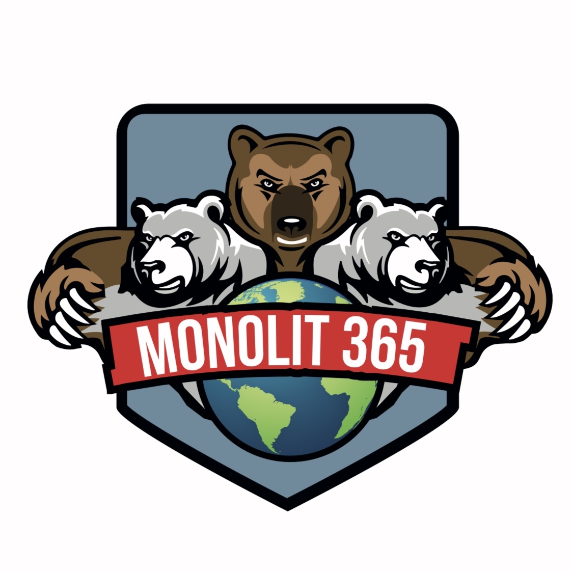  MONOLIT 365 