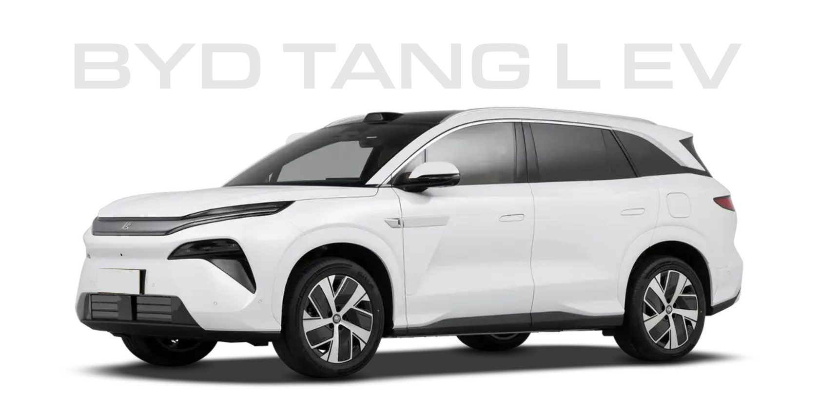  Tang L EV