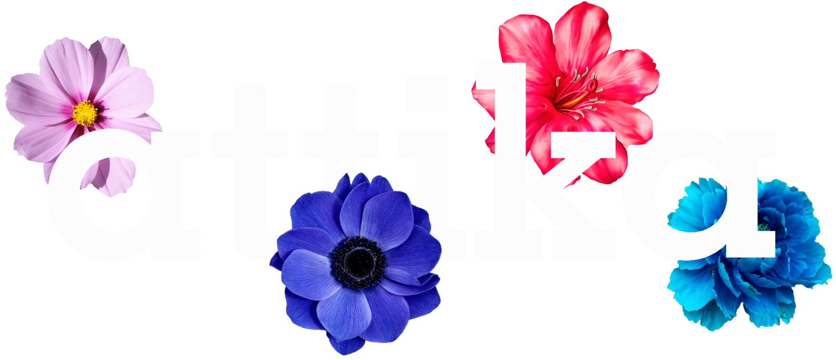 ATTIKA