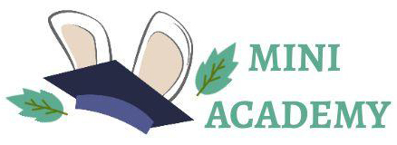 MINI ACADEMY